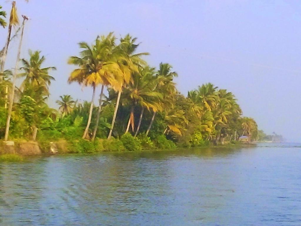 Marari Nest Beach Homestay Mararikulam Exterior photo