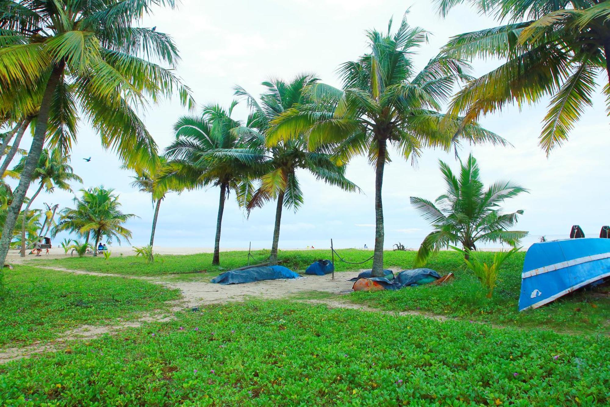 Marari Nest Beach Homestay Mararikulam Exterior photo